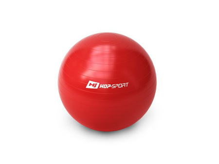 Piłka gimnastyczna Gym Ball 65 cm + pompka