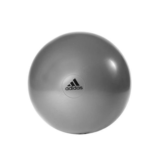 Piłka gimnastyczna 65 cm ADBL-13246GR  Adidas